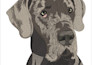 create embroidey digitizing logo design